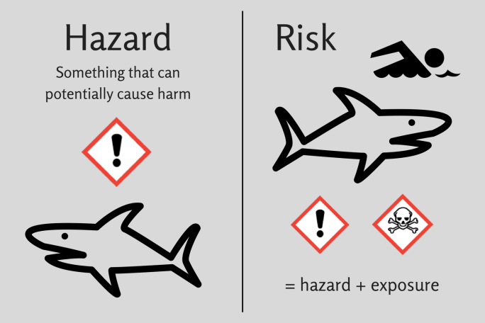 Simple infographic. On the left is hazard, something that can potentially cause harm, with a drawing of a shark. On the right is risk = hazard + exposure with a drawing of a shark approaching a drawing of a swimmer.