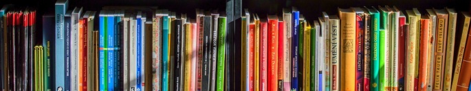 Bookshelf showing spines of brightly colored books.