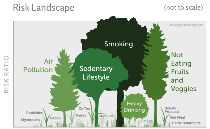 Chart titled the Risk landscape with risk ratio as the y axis. Trees and grass represent different risks with bigger plants as bigger risks, such as smoking as the largest risk and radon as one of the smallest.